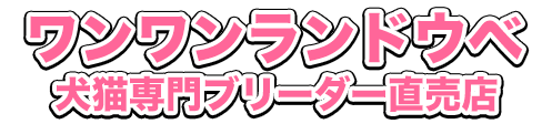 山口県宇部市にある犬猫専門ペットショップワンワンランドウベのウェブサイトへようこそ！