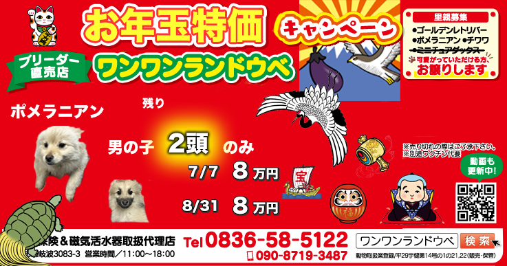 お年玉キャンペーン!